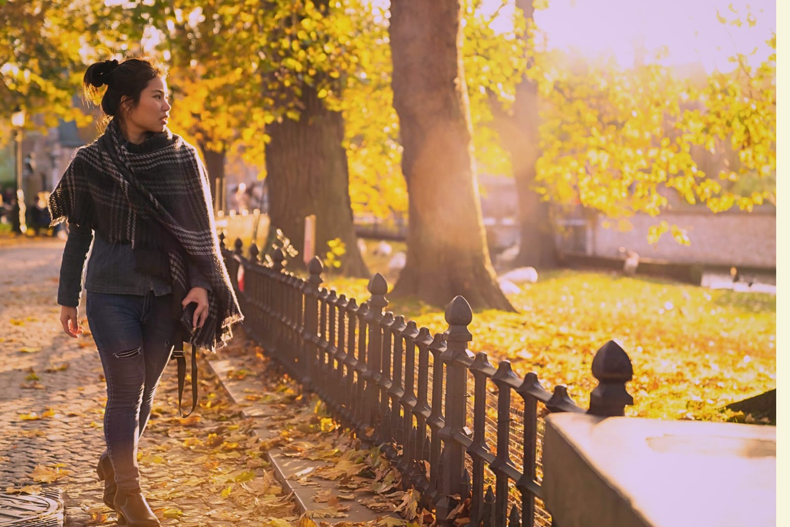 Woman walking along a fence-lined path in a park on a sunny autumn day, surrounded by trees with golden leaves. Image by Lifestylememory @Freepiks